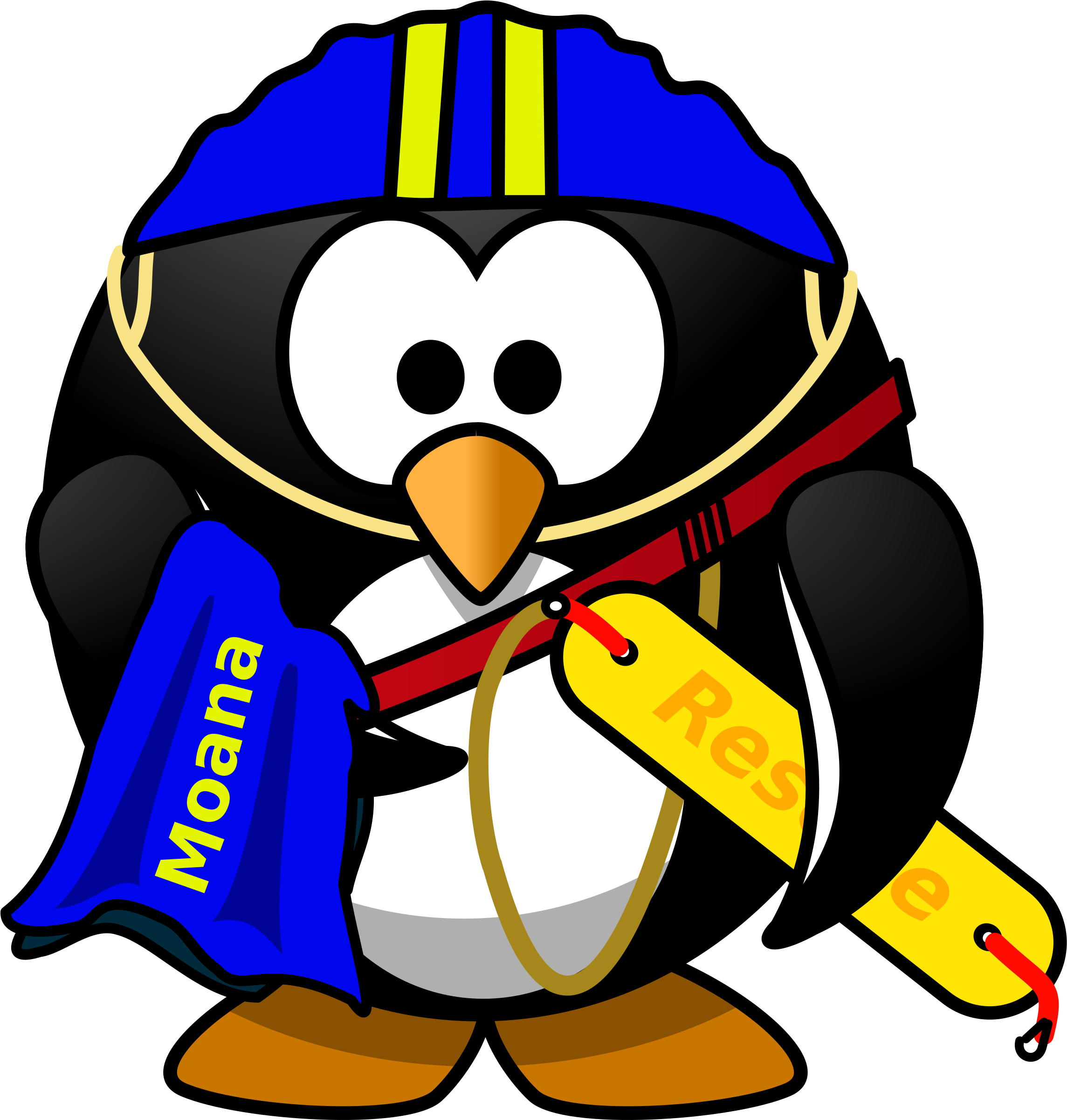 Life Saver Penguin - Surf Life Saving Clipart (2321x2400)