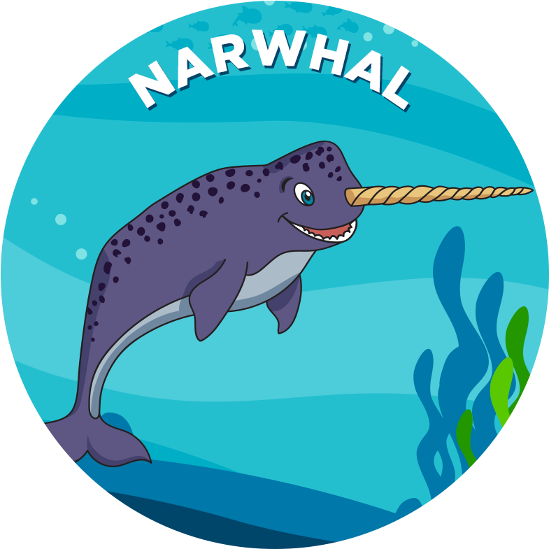 Narwhal - Killer Whale (800x800)