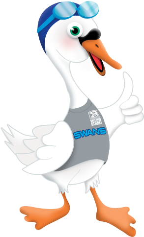 Swans (500x500)