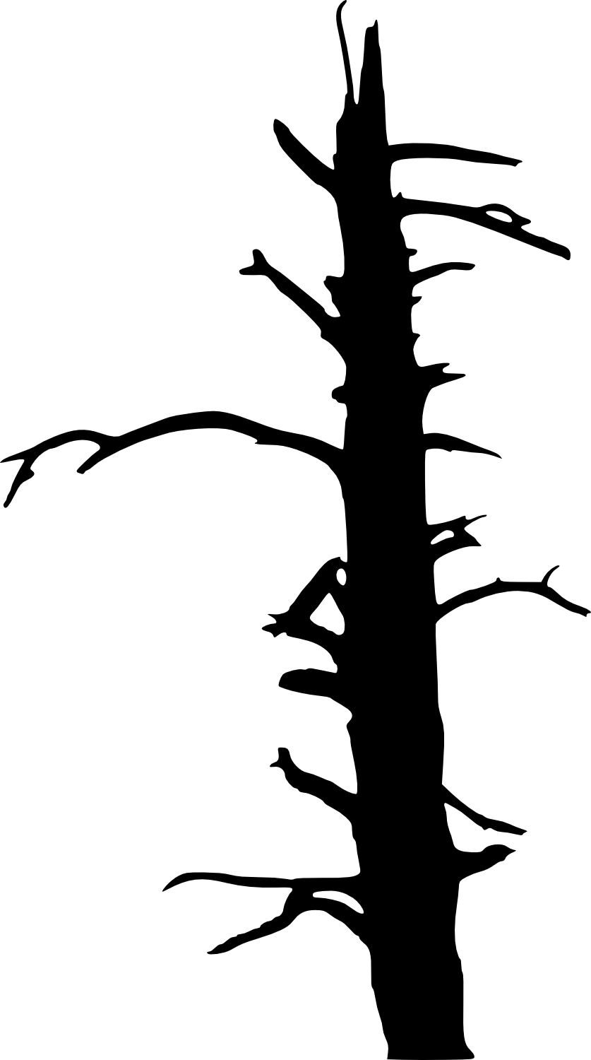 Free Download - Portable Network Graphics (837x1500)