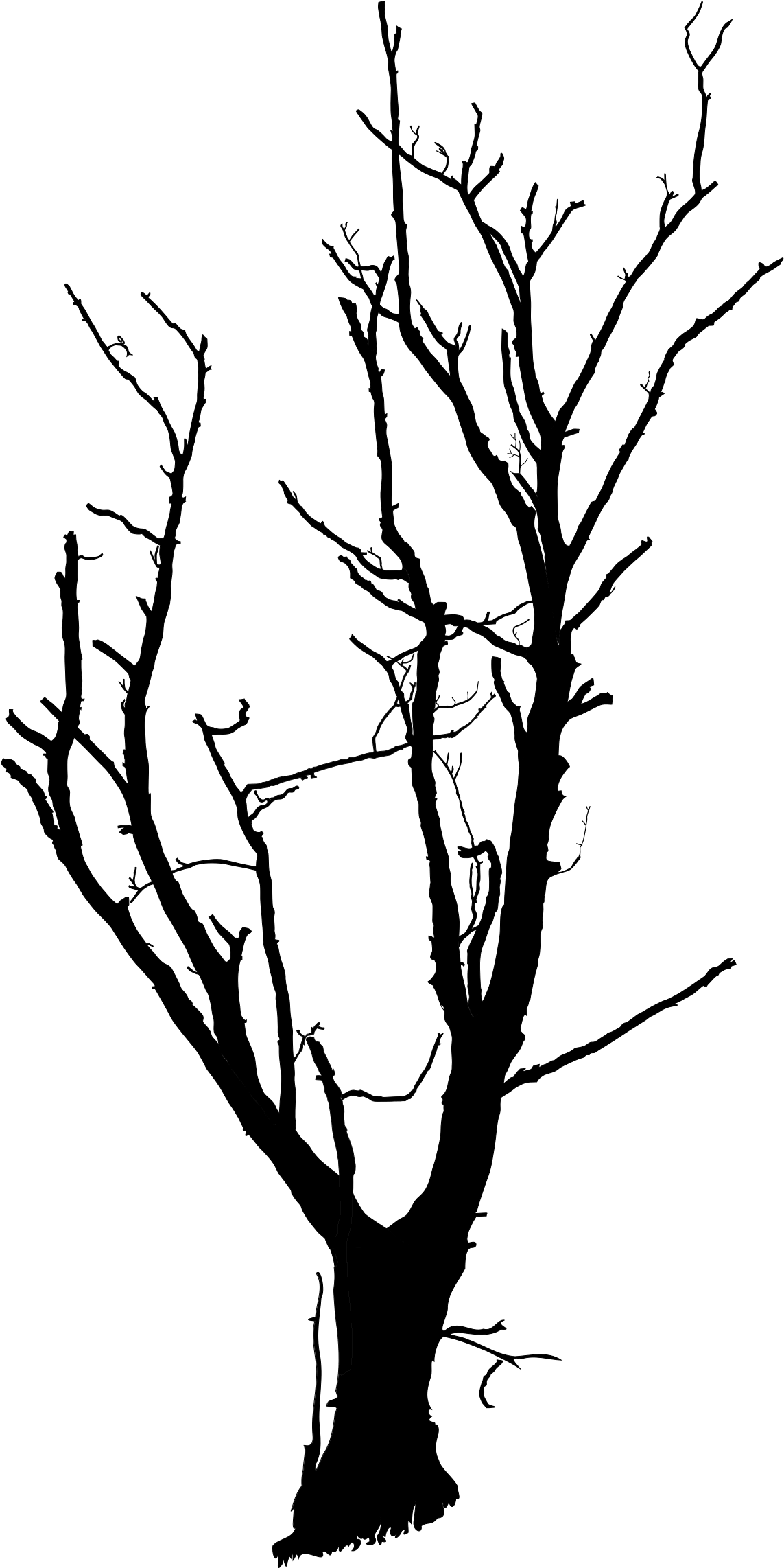 Big Image - Small Dead Tree (1697x2400)