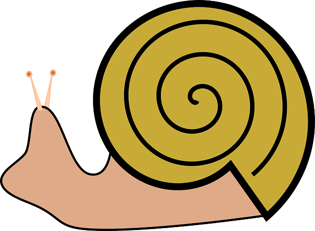 Grapevine Snail, Slug, Snail, Roman Snail - Snails Clipart (640x470)