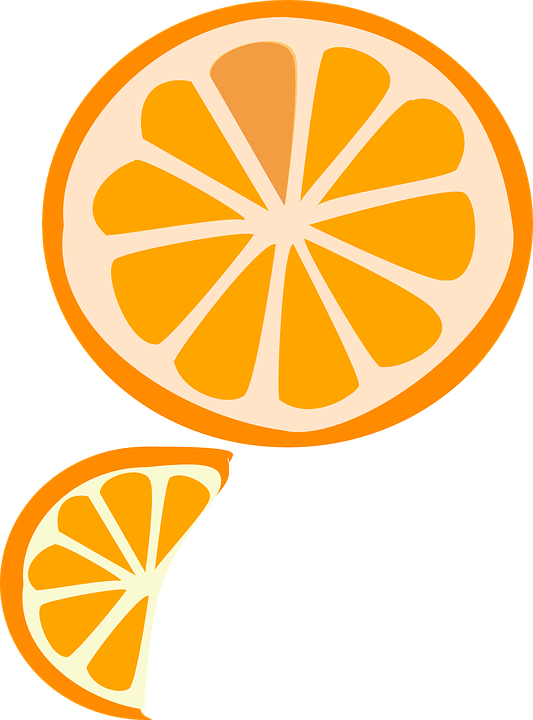 Apple Wedge Cliparts 7, - Orange Slice Graphic (533x720)
