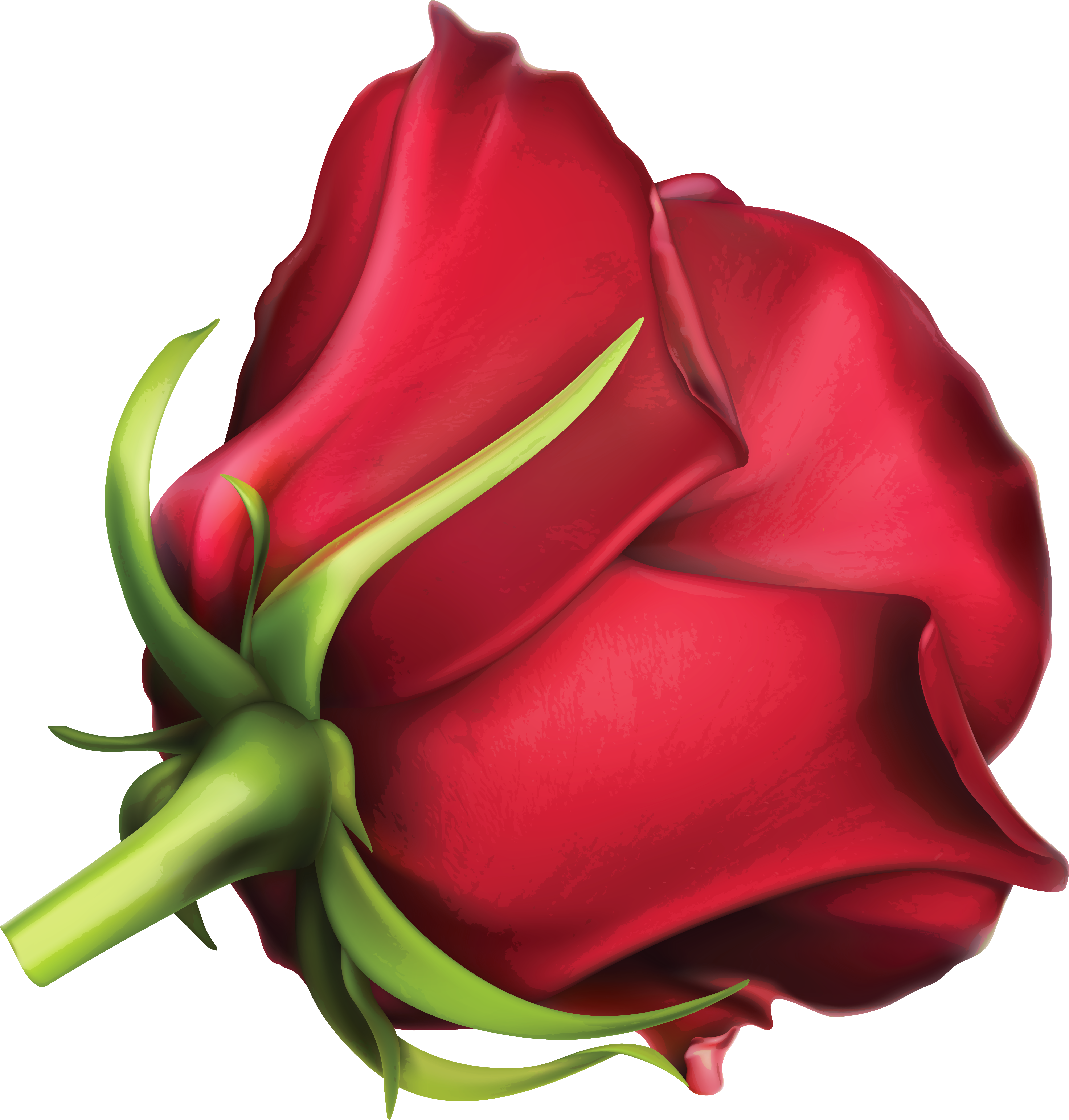 Red Rose Clipart Large - Clip Art (5353x5588)
