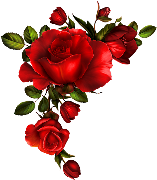 Texture And Tubes Png - Red Roses Watercolor Png (525x600)