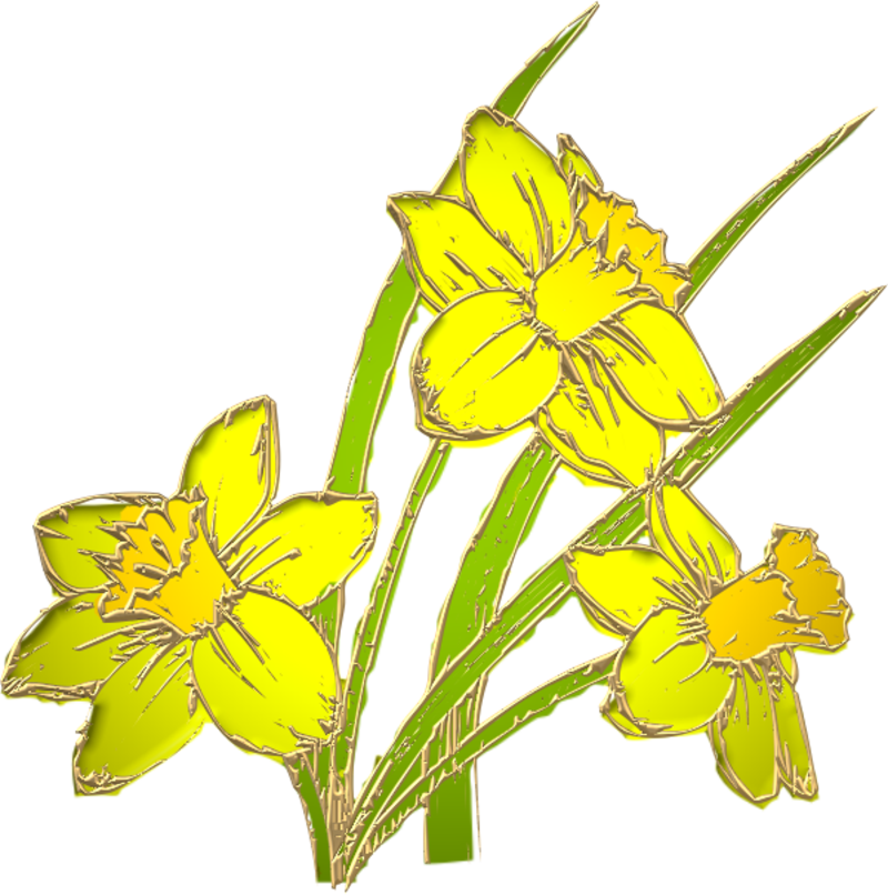 Jonquilles Jonquille27m1 - Mother's Day (800x806)