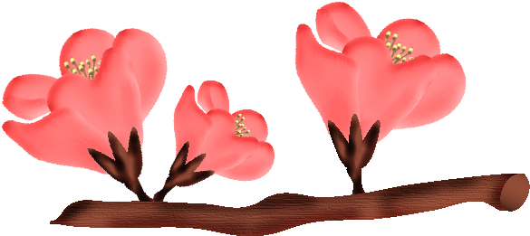 Fleurs23m2 Fleurs23m4 Fleurs23m3 - Floral Design (609x289)