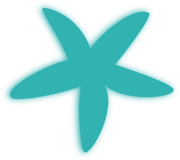 How To Set Use Etoile De Mer Svg Vector - Etoile De Mer Clipart (600x534)