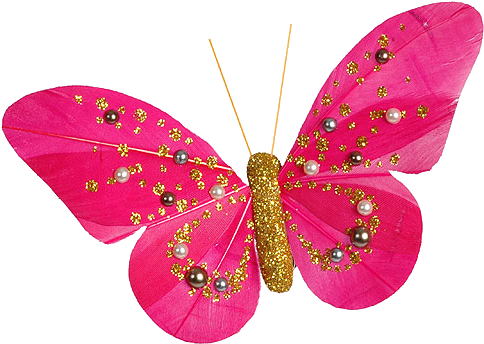 Com 13992438233 - Mariposas Bonitas Animadas (500x358)