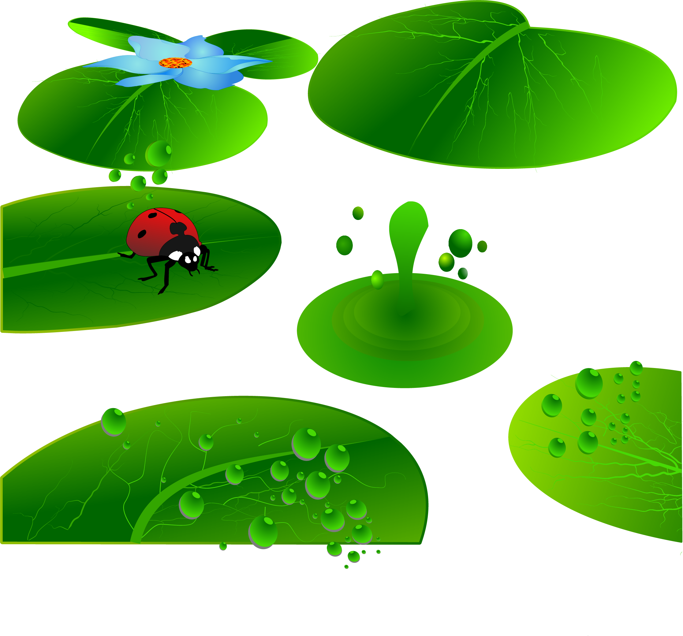 Leaf Insect Cartoon Illustration - Leaf Insect Cartoon Illustration (2232x2079)