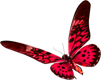 A Photoscape Oficial, Tudo Par - Brushes Para Photoscape (392x309)