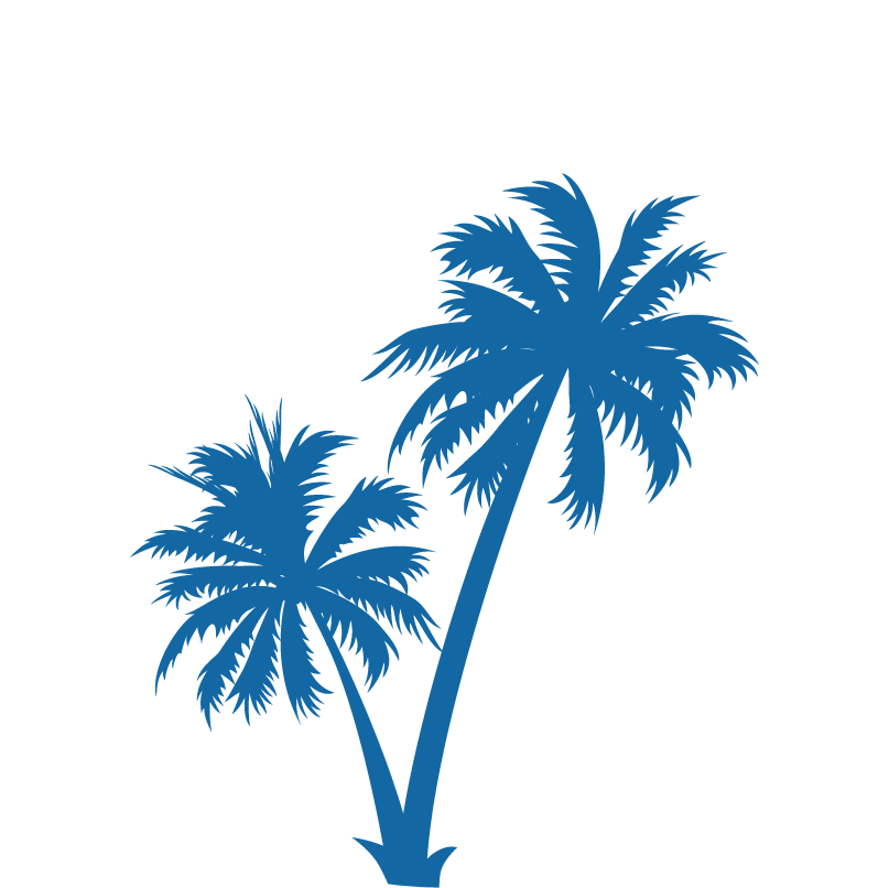 Explore More - Palm Tree Black And White (807x806)
