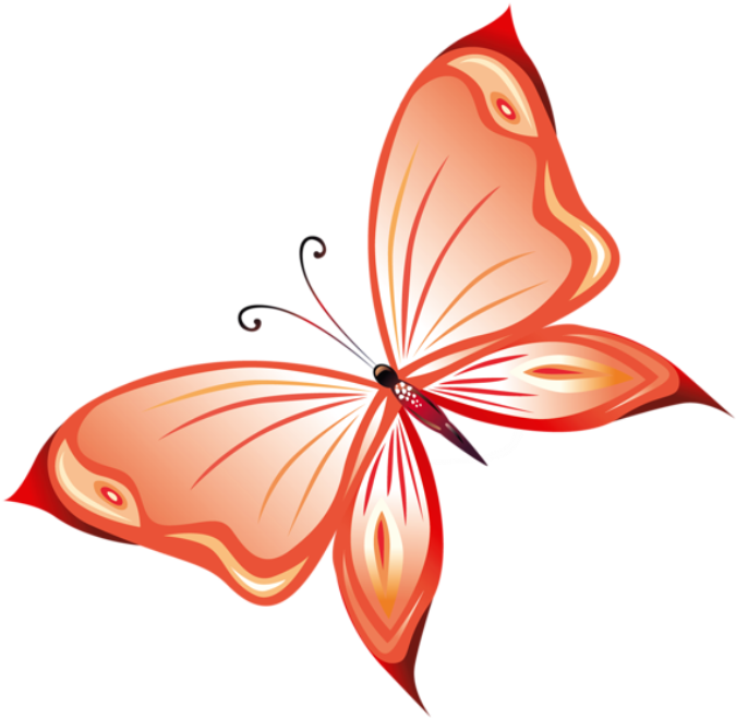 Borboletas Borboleta Laranja Png - Butterfly Clipart Png (706x711)
