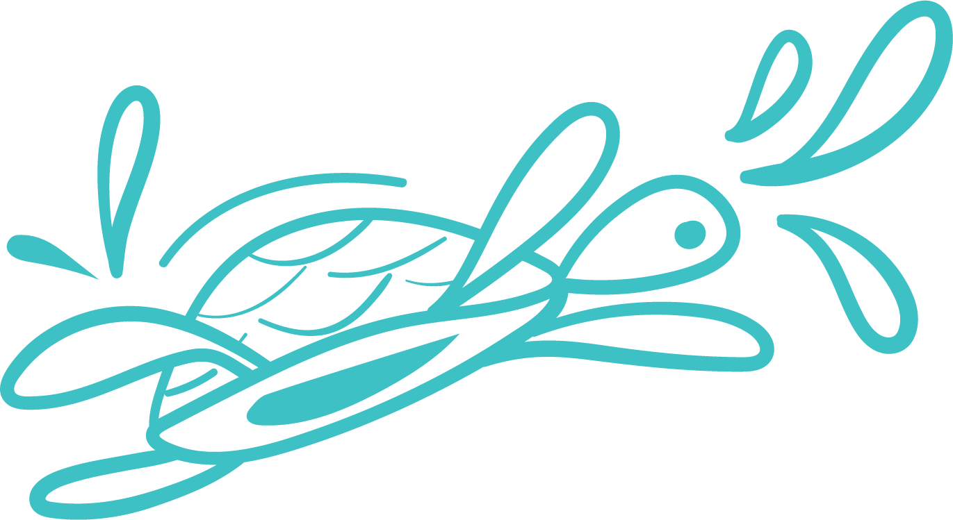 Who's Splash - Who's Splash (1371x749)