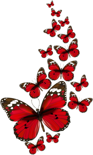 Borboletas Borboleta Vermelha E Preta 4 Png - Red Butterflies Png (406x673)
