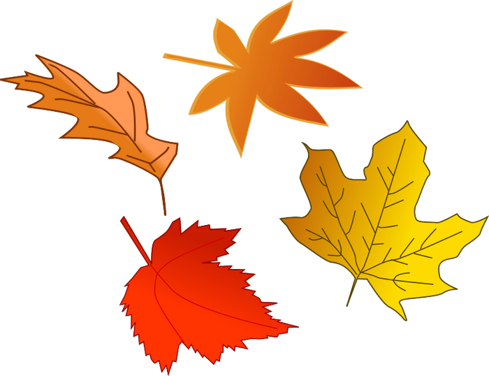 November Cliparts - Leaves Falling Clip Art (700x538)