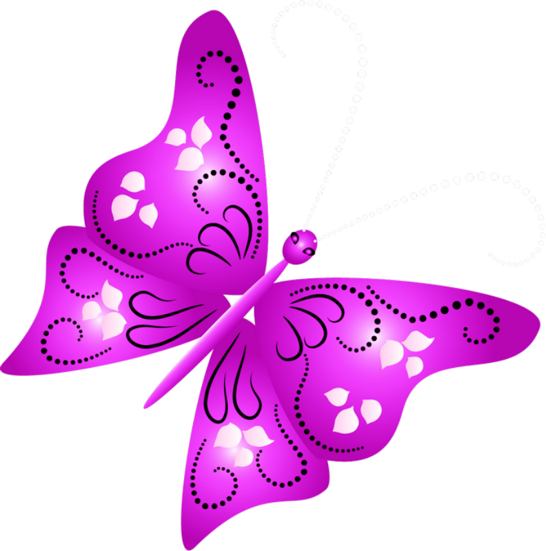 Borboletas & Joaninhas E - Butterfly (792x800)