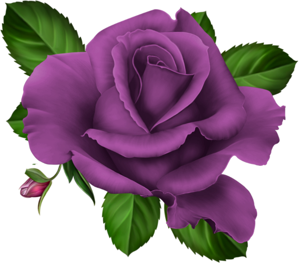 Roses,pink,roze,rosa, - Png Purple Roses (600x528)
