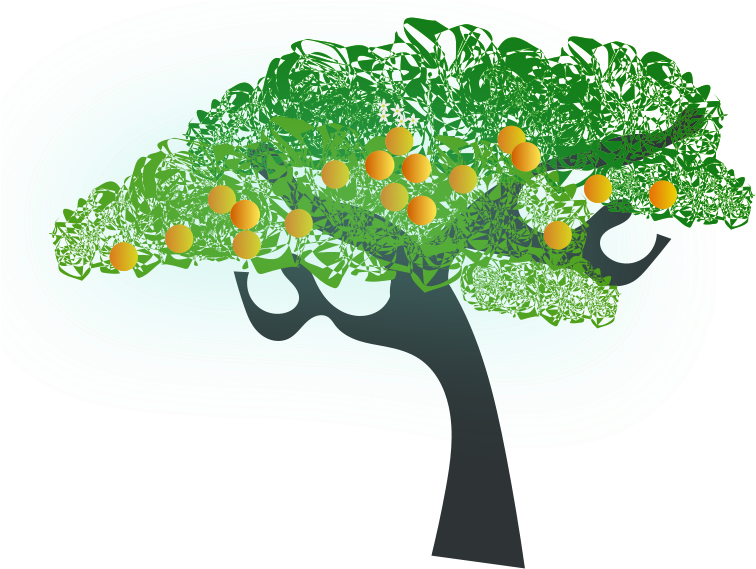 Tree Clipart Santol - Orange Tree Clip Art (800x582)