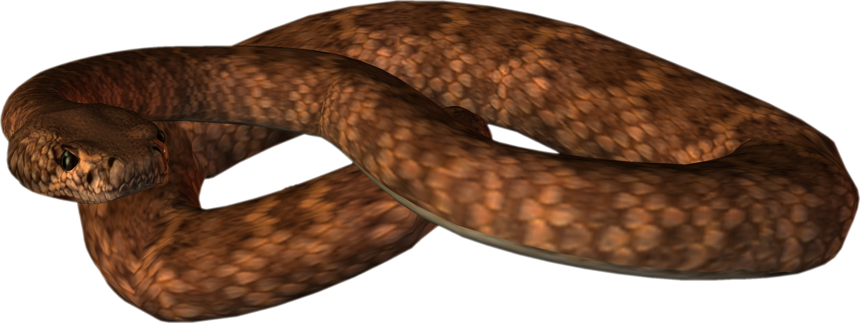 Animated Snake - Brown Snake Clip Art (2737x1029)