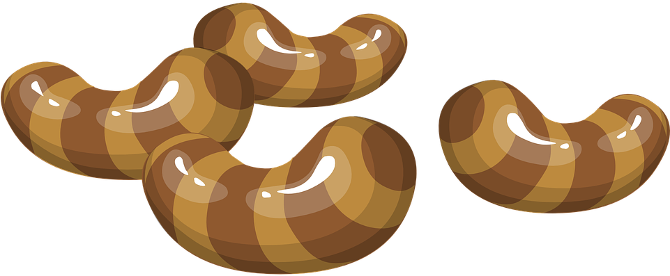 Orange Snake Cliparts 24, Buy Clip Art - Food (960x480)