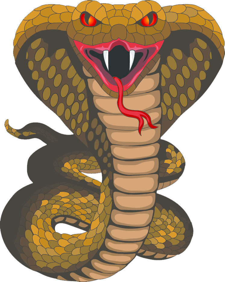 Snake Clipart Comic - King Cobra Clip Art (746x932)