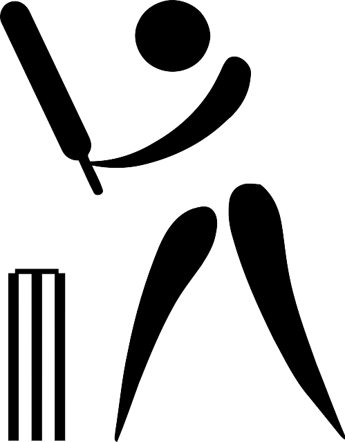 Symbol, Silhouette, Sport, Cartoon, Symbols, Logos - Cricket Game Clip Art (499x640)