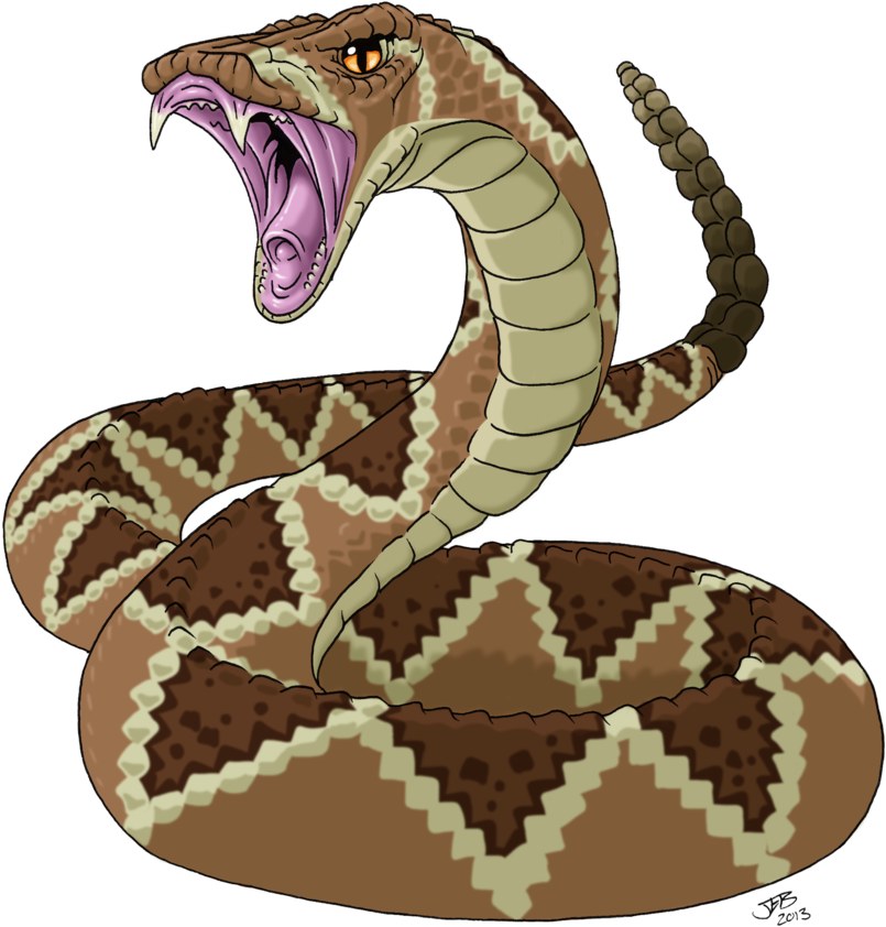 Drawn Snake Snake Strike - Western Diamondback Rattlesnake Drawing (876x912)