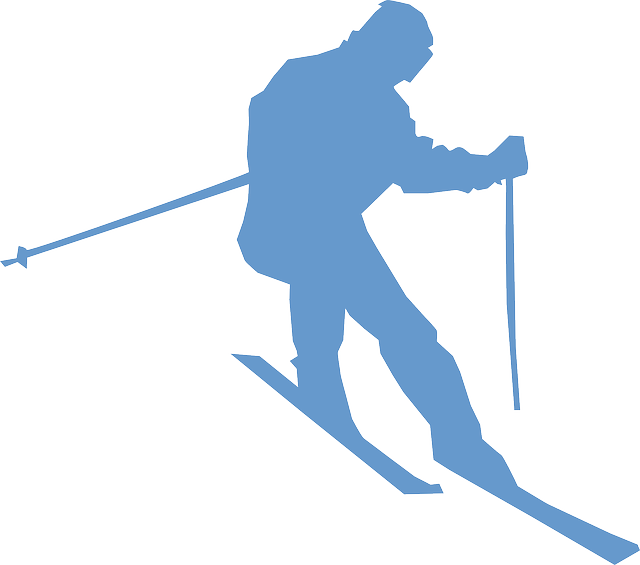 Silhouette, Ski, Sports, Snow, Speed, Skiing, Olympics - Ski Png (640x565)