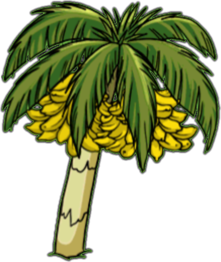 Palm Banana - Banana On Palm Tree (436x517)