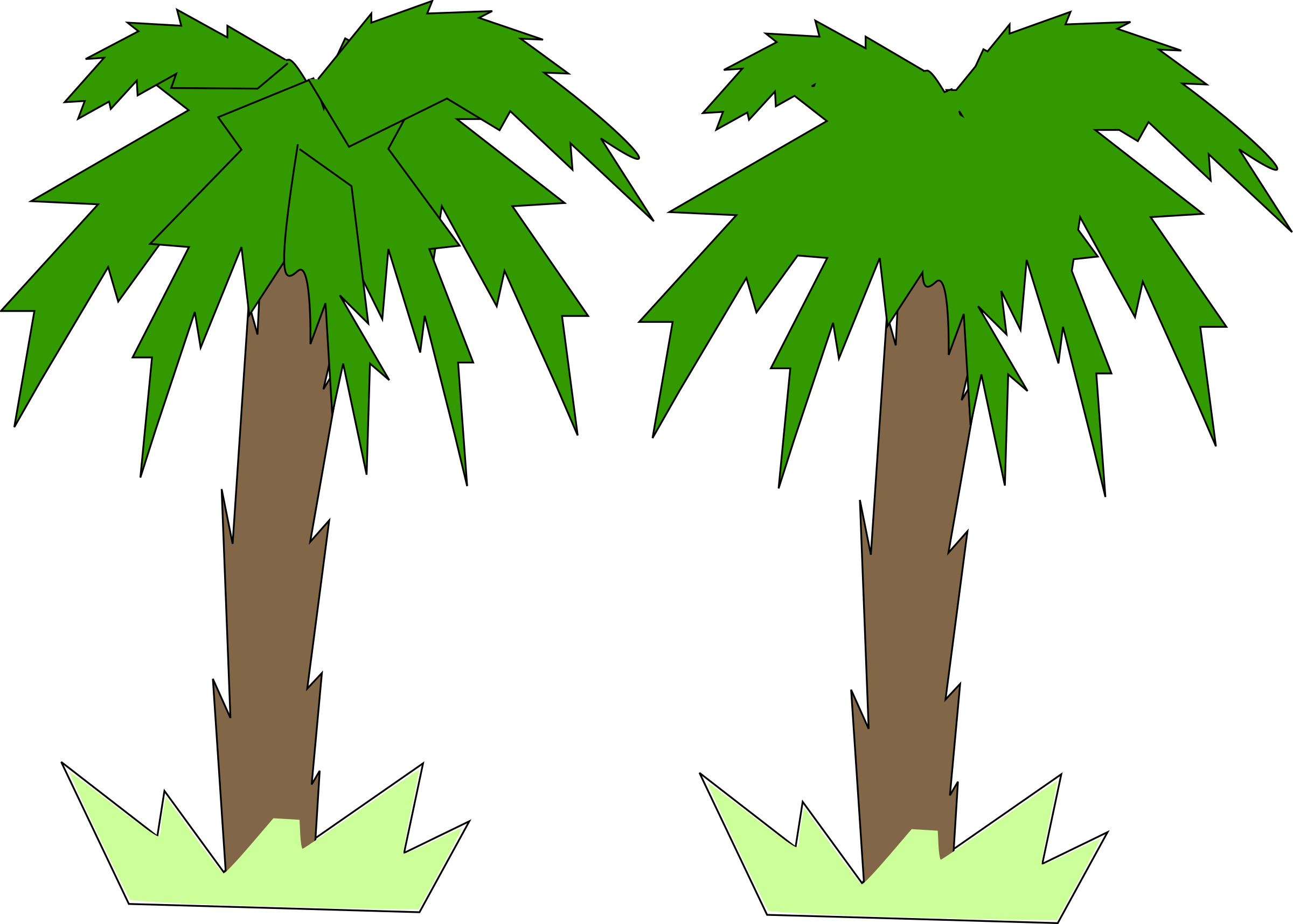 Palm Tree - Palm Tree 2 D (2400x1717)