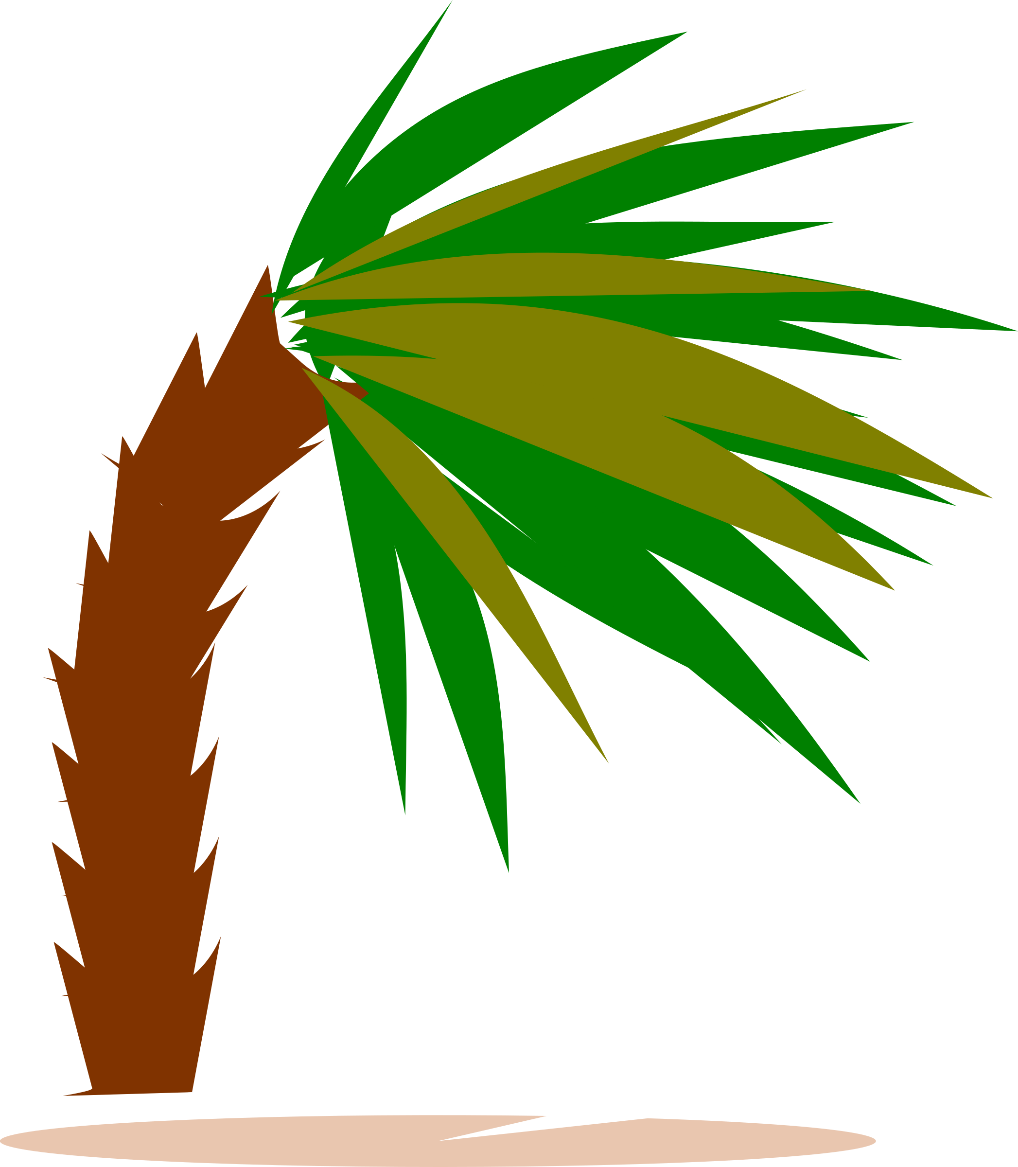 Palm Tree In Heavy Wind Clipart - Clipart Of Wind Palm Trees (2094x2400)