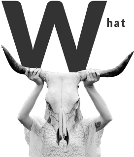 Hawhat1 - Digital Agency (800x500)