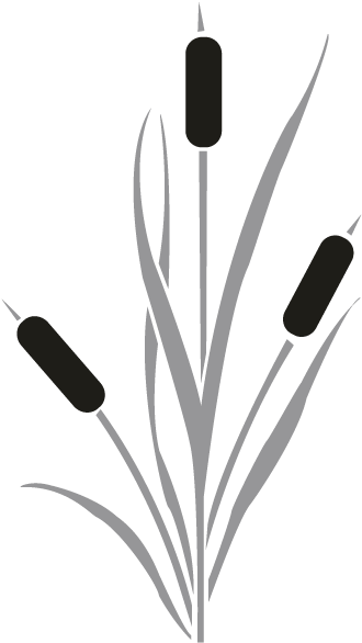 Cattails Silhouette Clip Art - Cat Tails Black And White (696x696)