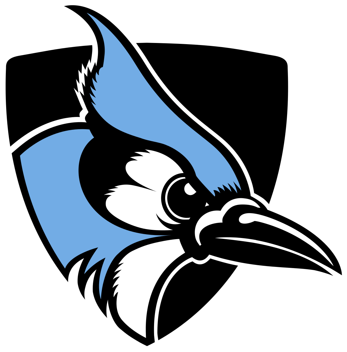 Johns Hopkins Blue Jays (1200x1223)