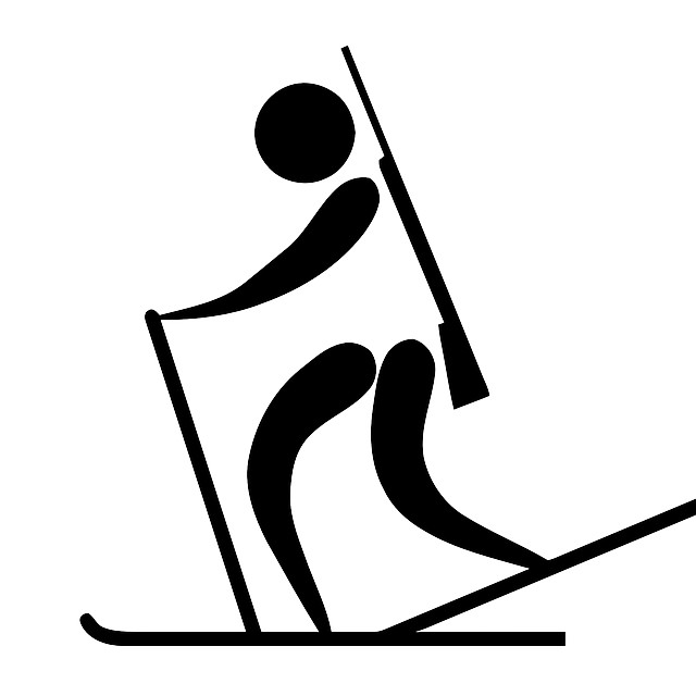Silhouette, Sport, Cartoon, Symbols, Free - Biathlon Png (640x640)