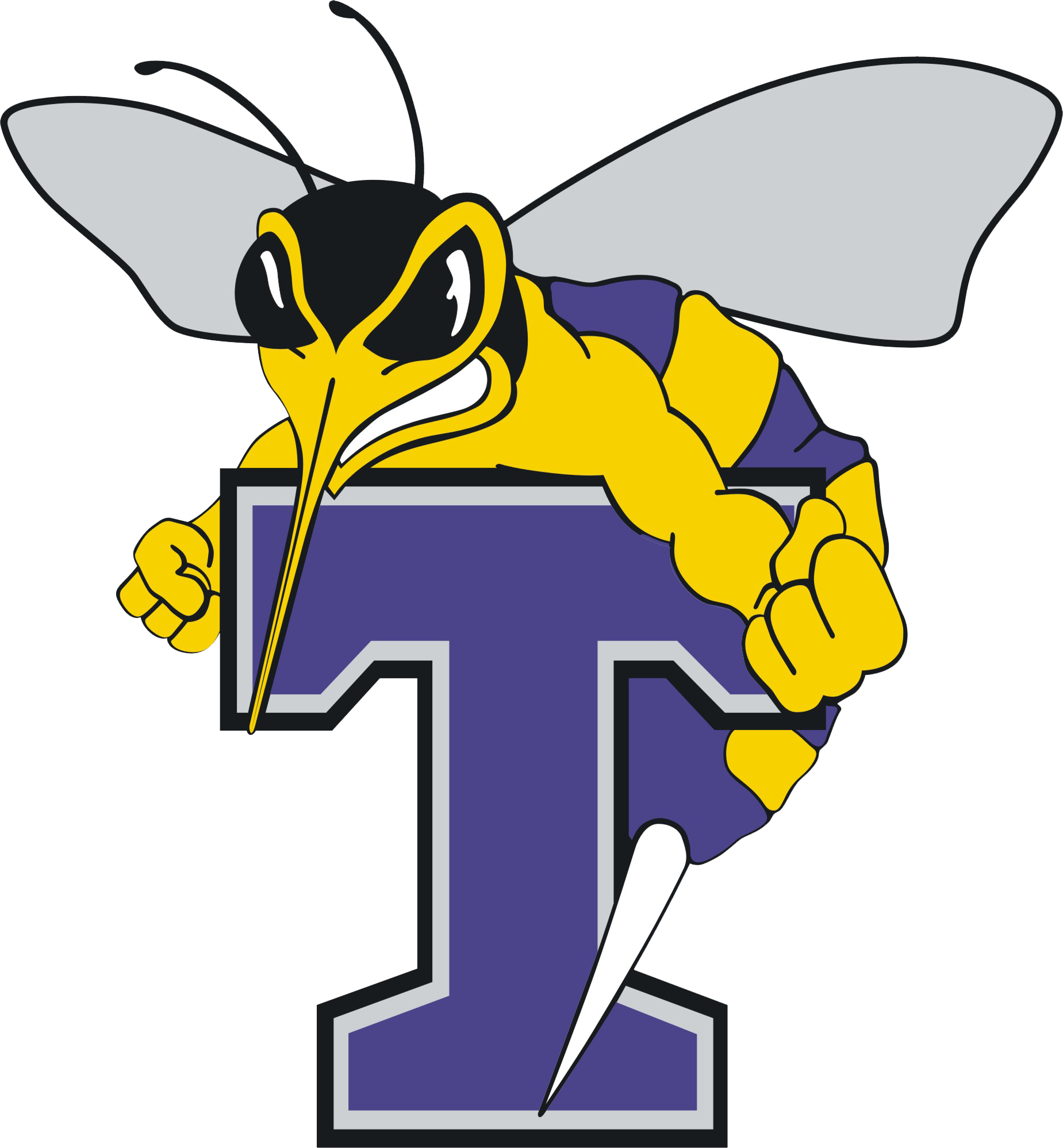 Stinger Athletics - Florence Darlington Technical College Mascot (1849x1997)