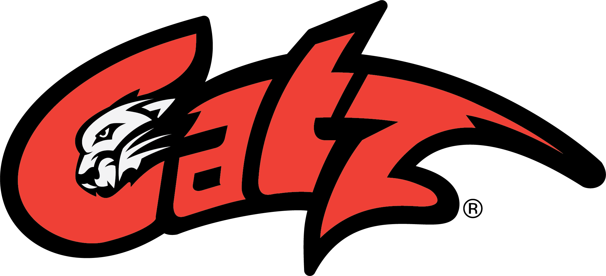 Catz Pride Catz Physical Therapy, Athletic Gaines, - Catz Physical Therapy (2077x947)