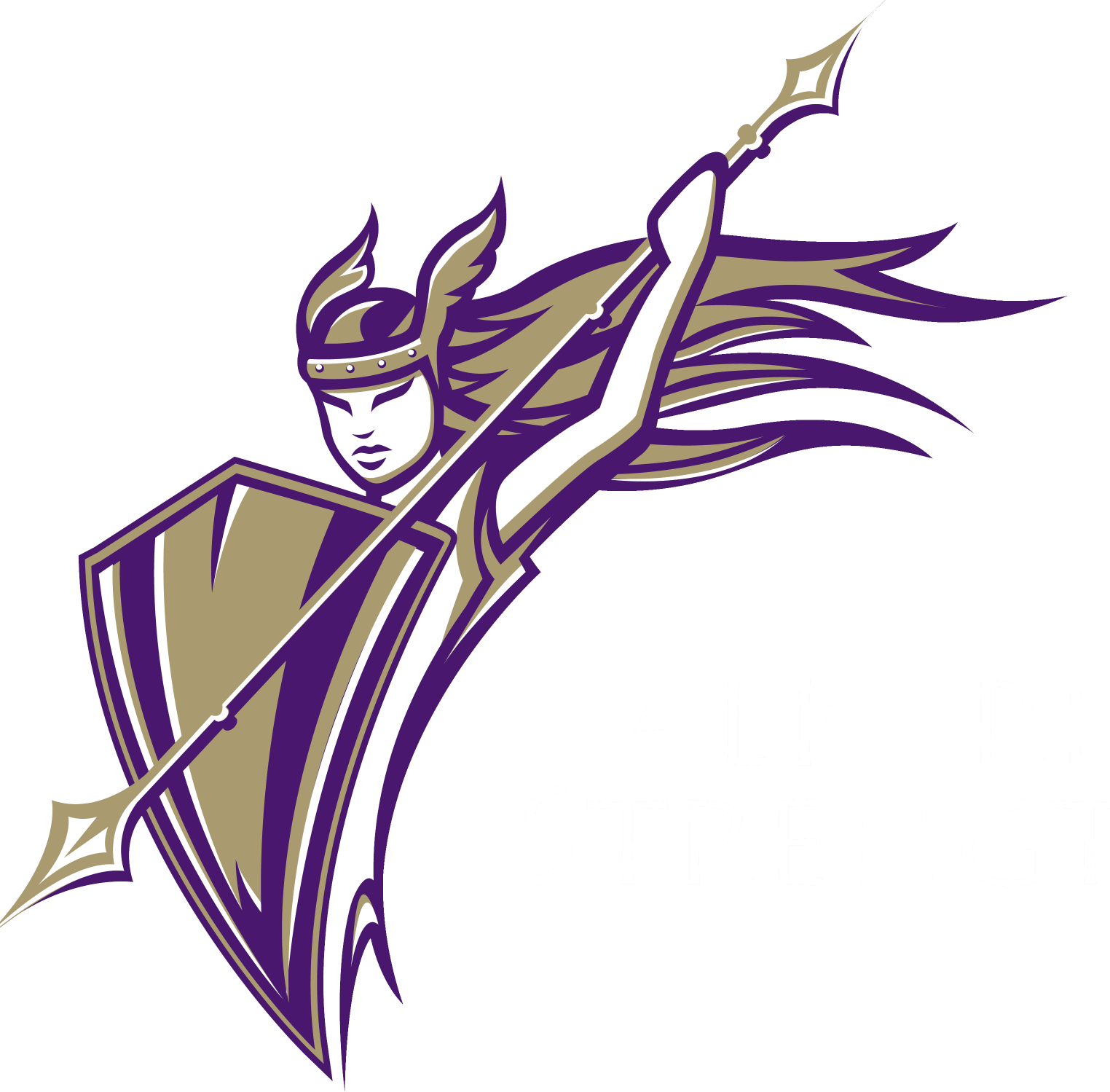 Converse College Valkyries (1524x1499)