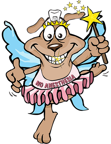 Hours Of Operation - Tooth Fairy For Dogs (368x477)