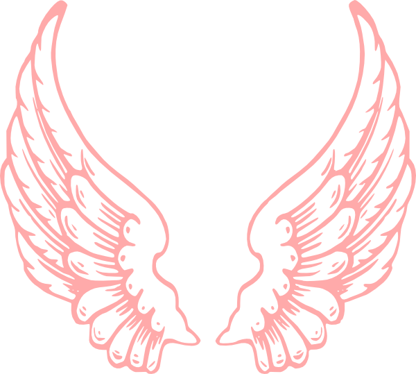 Angel Wings (600x539)