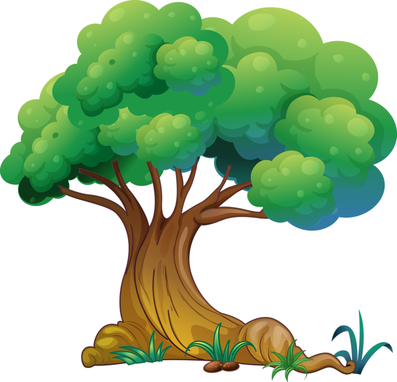 Arbres - Page - Arbre Clipart (800x770)