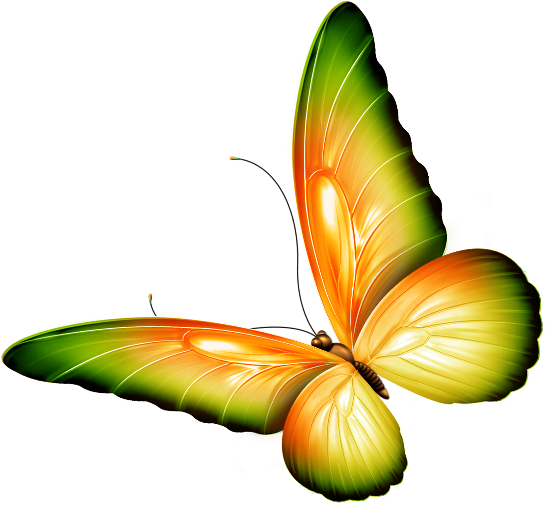 Butterfly - Clipart Flowers And Butterflies (1232x1140)