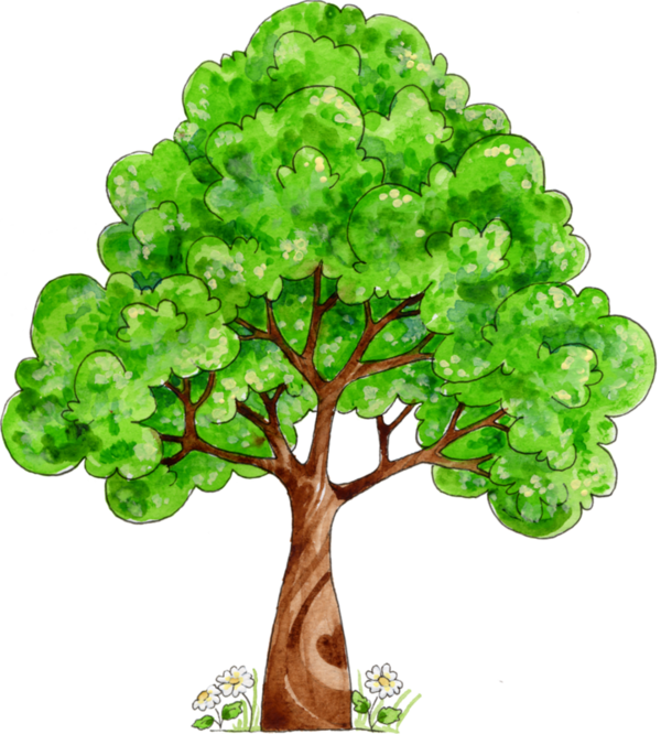 Arbre,png - Дерево Картинка Нарисованная (600x666)