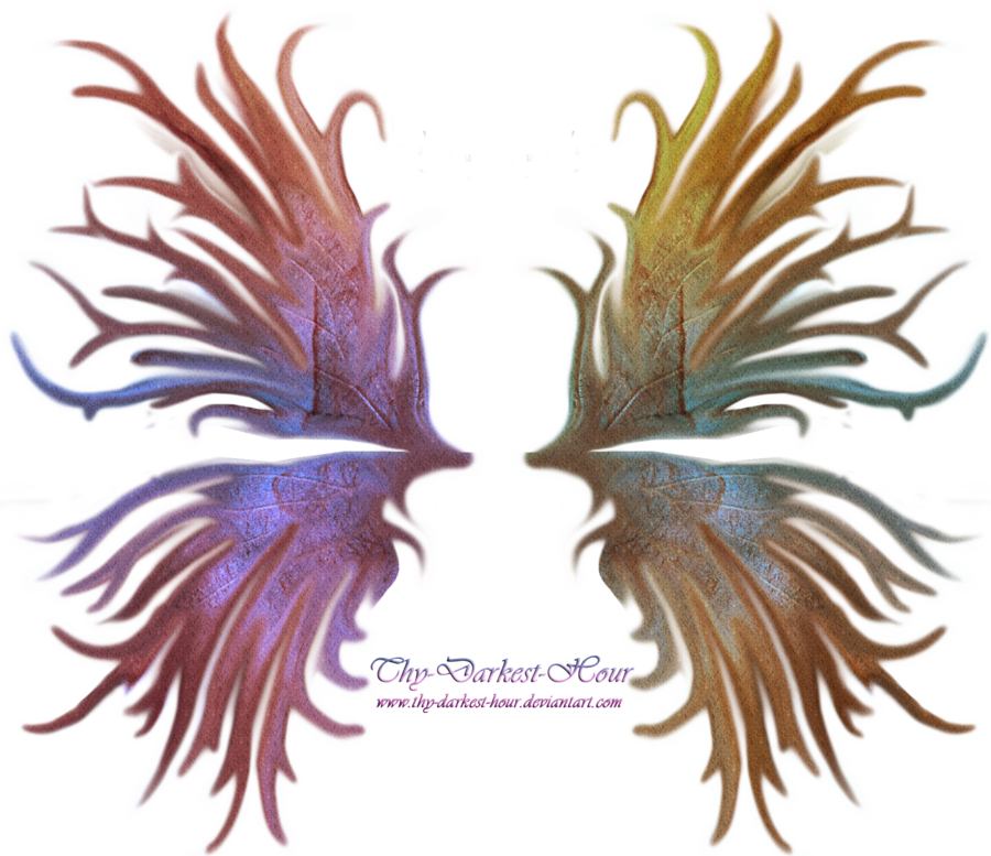 Frilled Fairy Wings 01 By Thy Darkest Hour - Darkest Hour Fairy Wings Png (900x777)