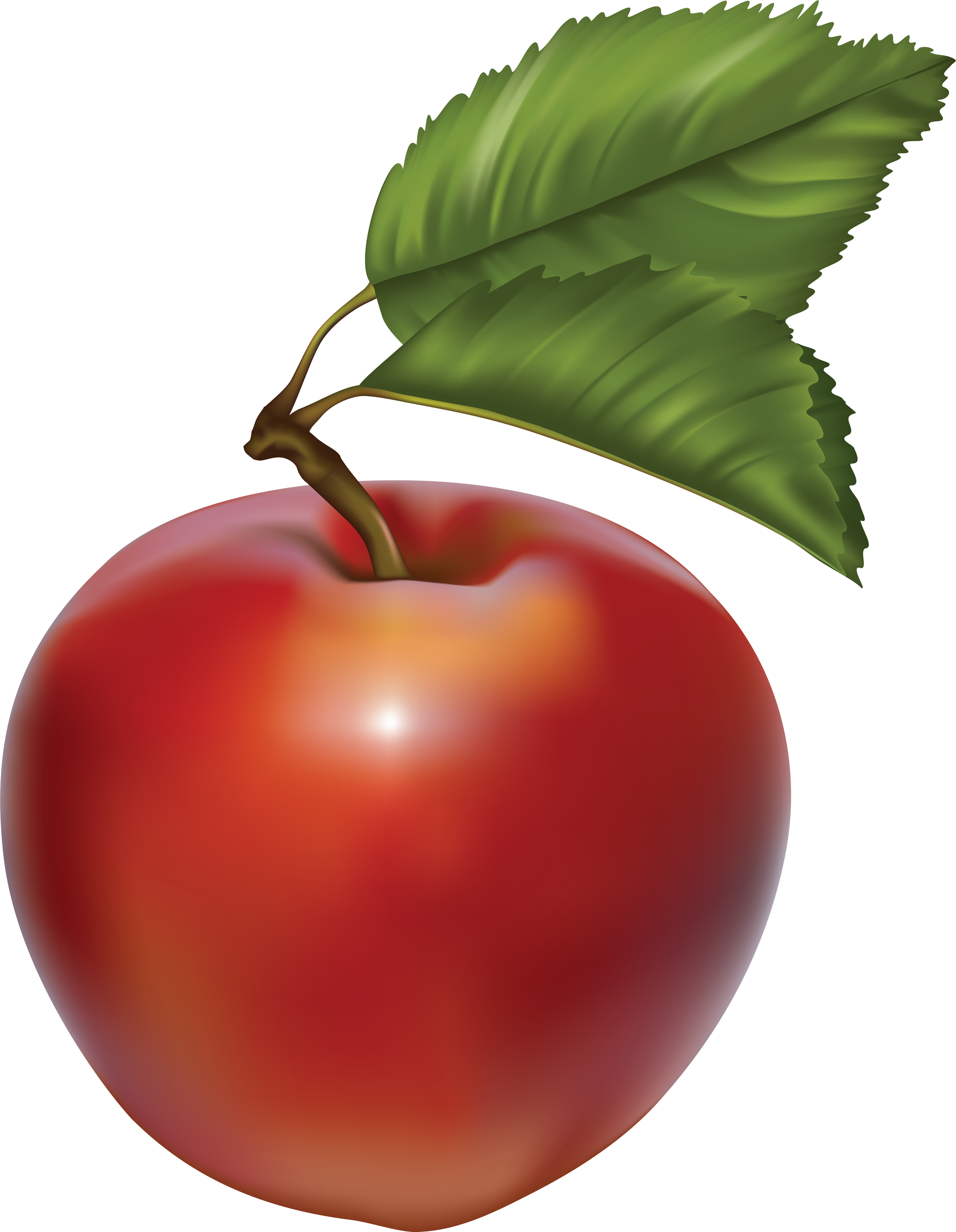 Green - Apple - Clipart - Green - Apple - Clipart (2735x3523)