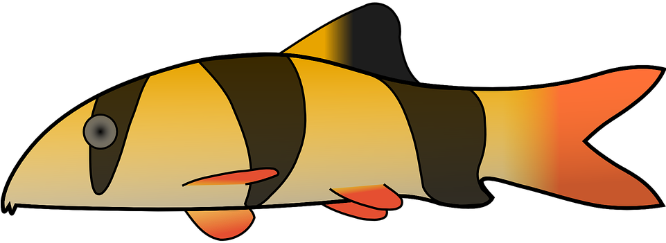 Cartoon Fish Drawings 12, Buy Clip Art - Fish Clipart Pixabay (960x480)