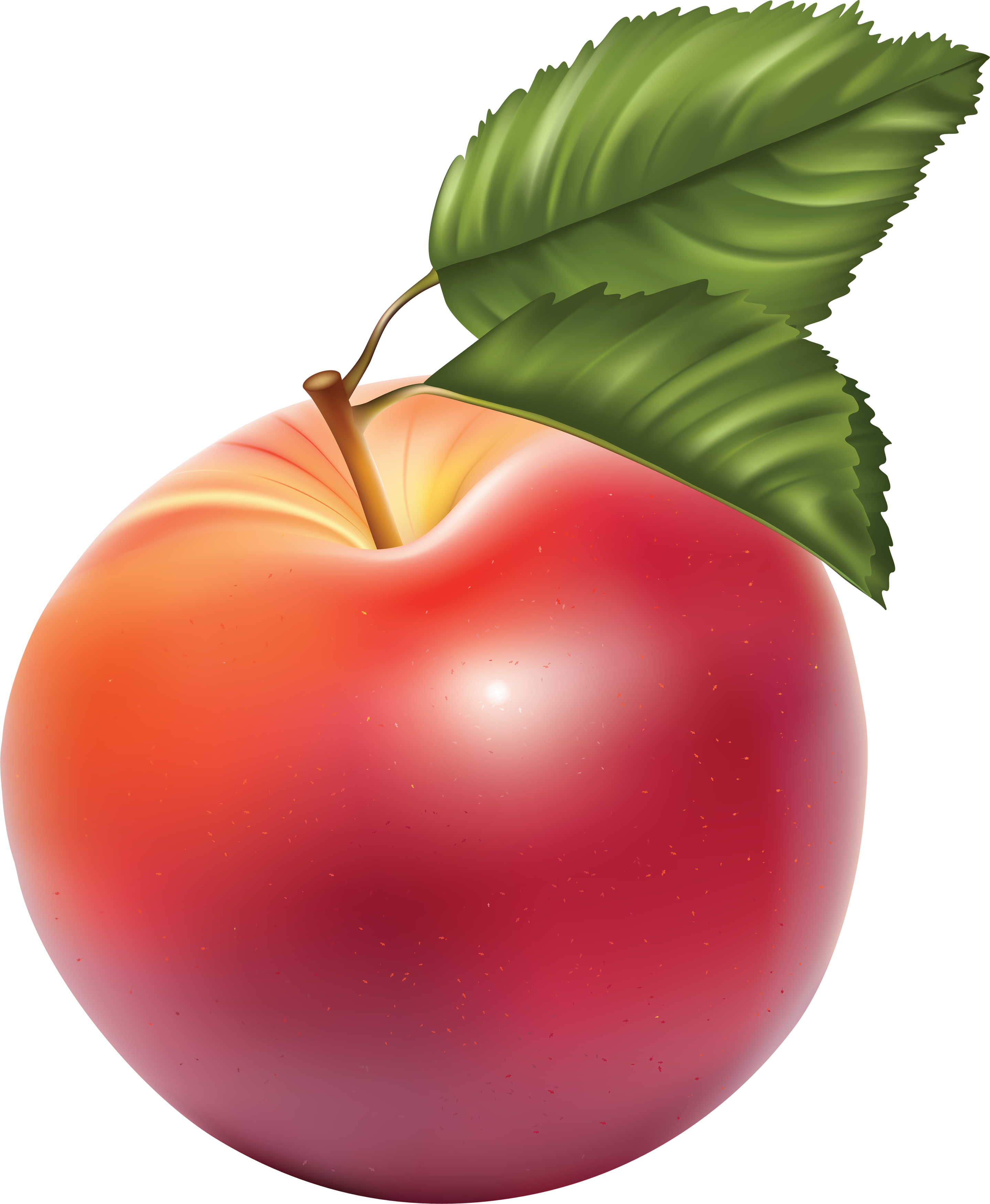 Image Clipart Transparent Png Apple Png Apple Image - Яблоко Пнг (2877x3499)