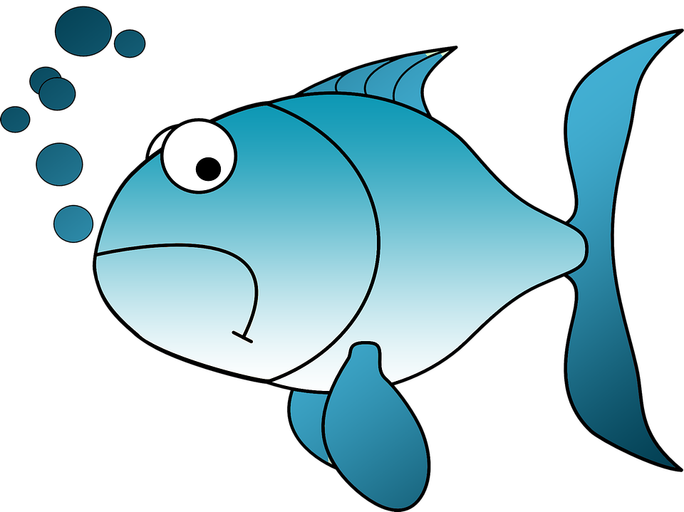 Blue Fish Clipart - Sad Fish Clipart (960x719)