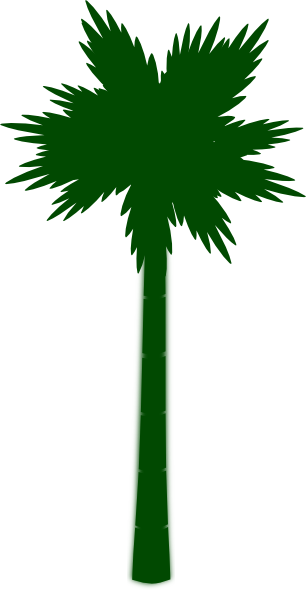 Palm Tree Clip Art (306x590)